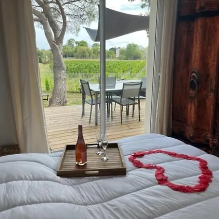 Maison Vue Sur Vignes Avec Spa Jacuzzi Privatif